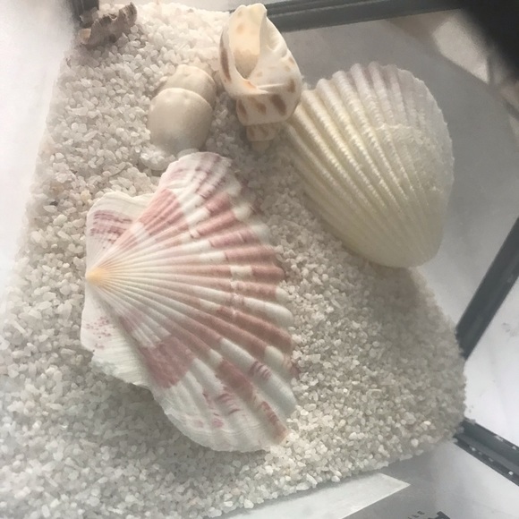 Decor - Picture 3 of 4